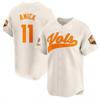 T.Volunteers #11 Billy Amick Cream 2024 Champions Vapor Limited Stitched American College Jersey