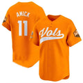 T.Volunteers #11 Billy Amick Orange 2024 Champions Vapor Limited Stitched American College Jersey