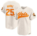 T.Volunteers #25 Blake Burke Cream 2024 Champions Vapor Limited Stitched American College Jersey