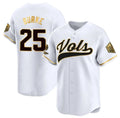 T.Volunteers #25 Blake Burke White Gold 2024 Champions Vapor Limited Stitched American College Jersey