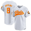 T.Volunteers #8 Dylan Dreiling Pinstripe 2024 Champions Vapor Limited Stitched American College Jersey